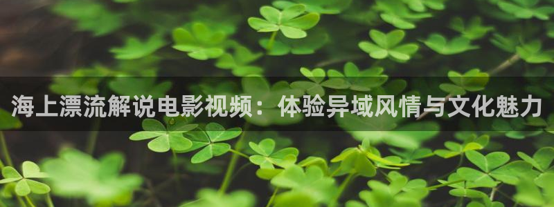 6080新视觉影院在线播放：海上漂流解说电影视频：体验异域风情与文化魅力