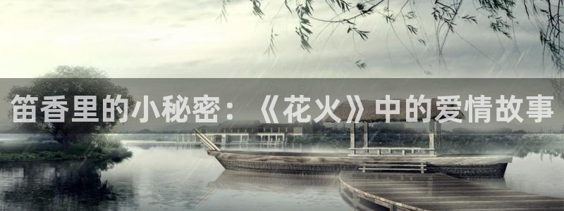 新视觉电视
