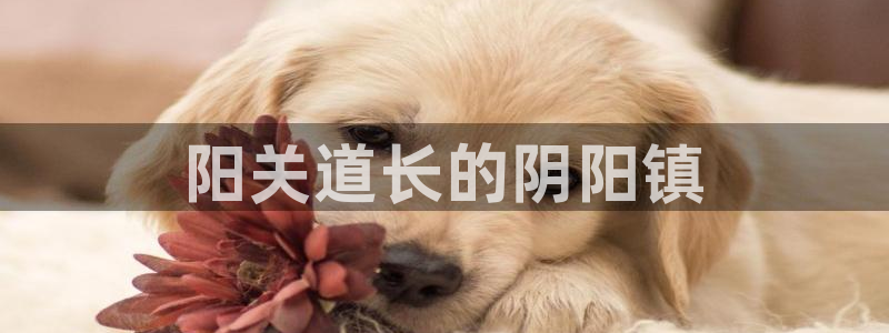 6080新视觉理论三级：阳关道长的阴阳镇