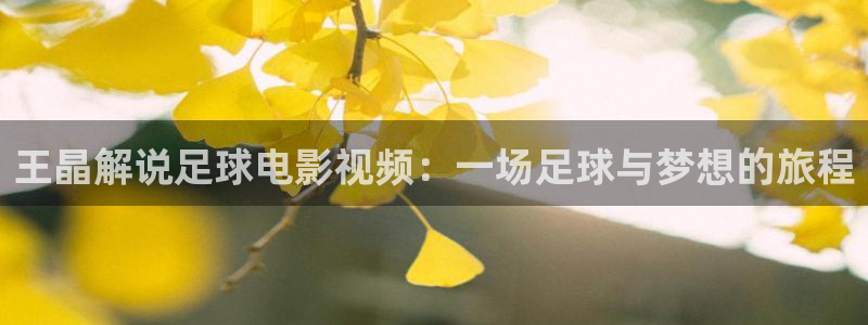 8090新视觉电影网