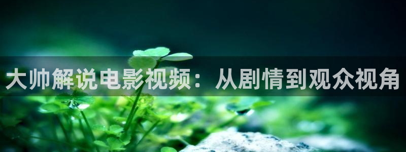 yy6090新视觉电视剧在线观看
