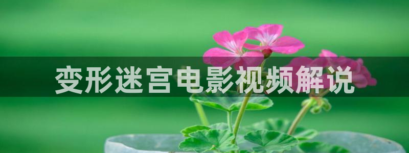 yy6080新视觉影院在线观看视频
