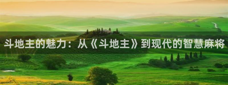 80900新视觉理论电视剧全集高清免费播