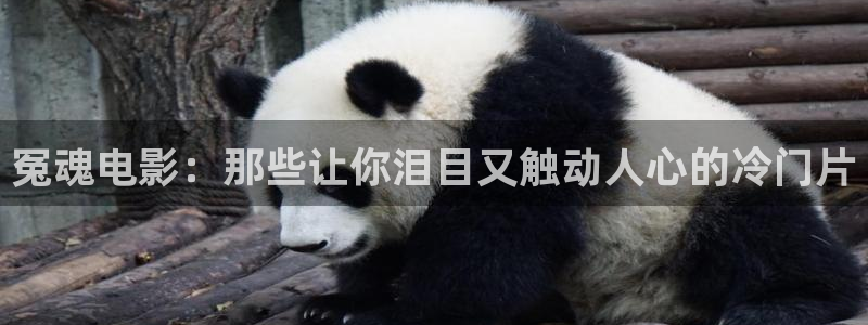 新视觉影