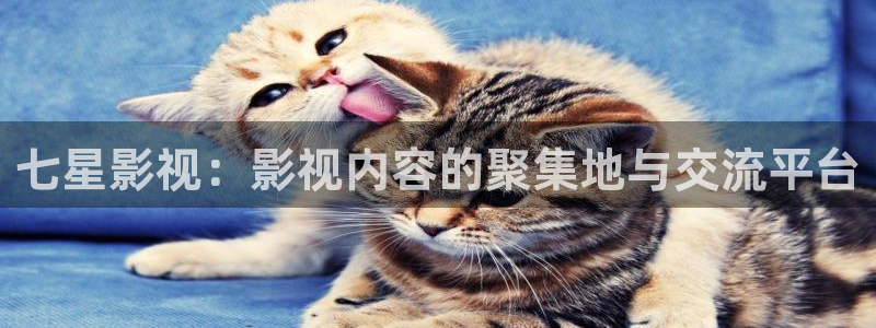 黄色新视觉