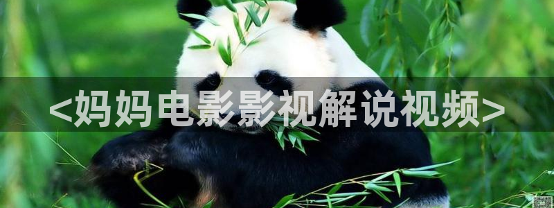 6080新视觉电影电视剧在线观看官网