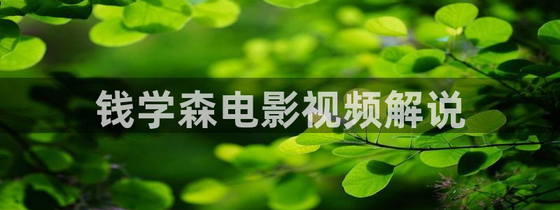 新视觉奇领yy6080