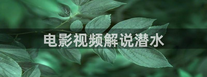 新视觉影业