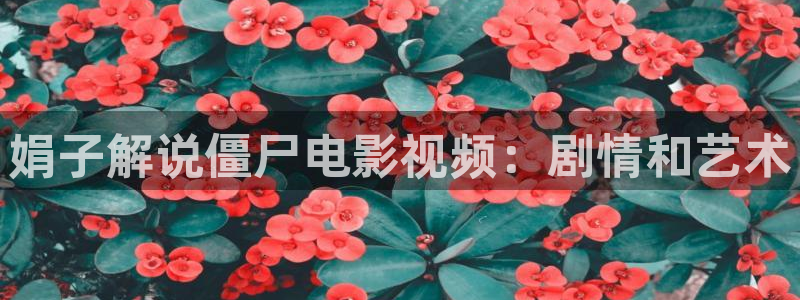 新视觉有限公司