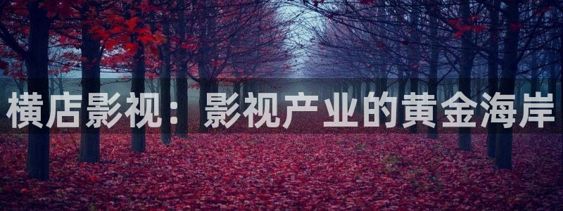 6080新视觉影视在线观看