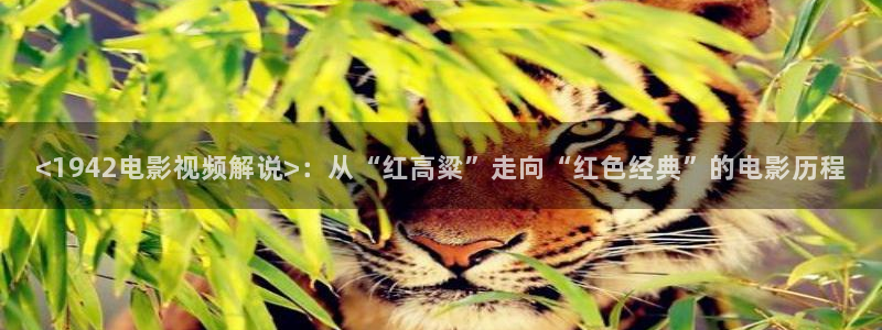 新视觉影院29