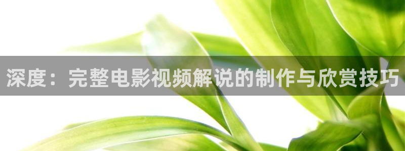 8090新视觉电视剧