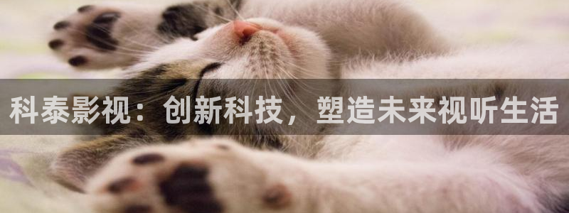 新视觉免费看