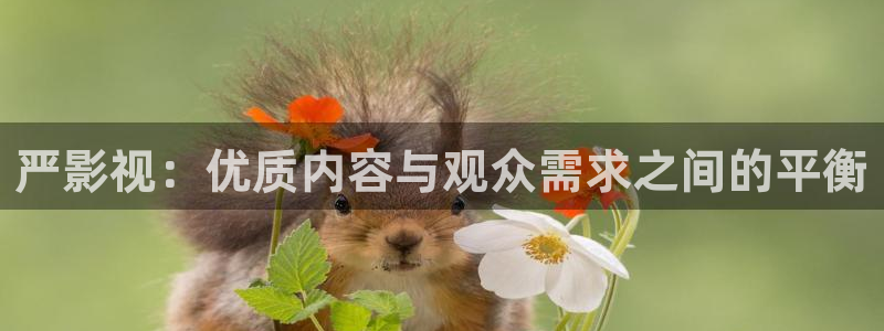 新视觉英超体育节目表