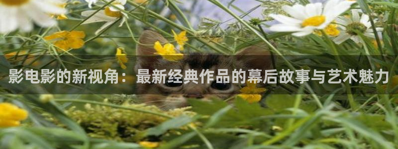 yy8090新视觉神马影院