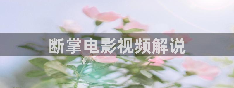 新视觉影院6080福利：断掌电影视频解说