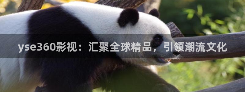 yy6080 新视觉影院