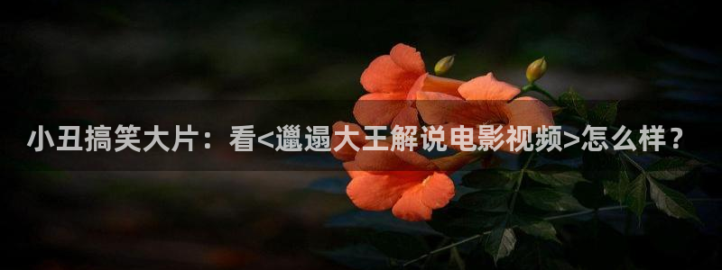 6080新视觉午夜理论片