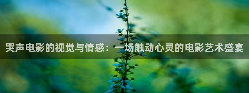 6080新视觉影院午夜